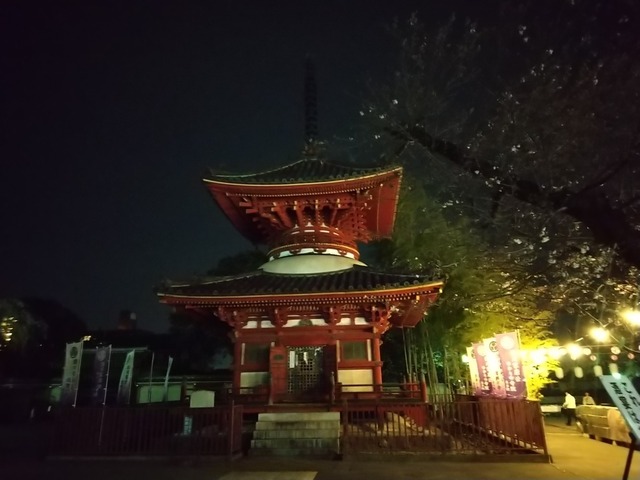 DSC_3164.JPG