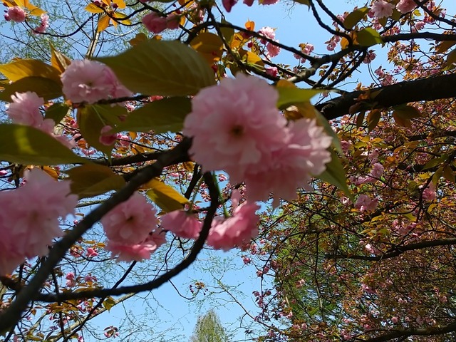 DSC_3215.JPG