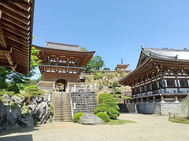 DSC_3266.JPG