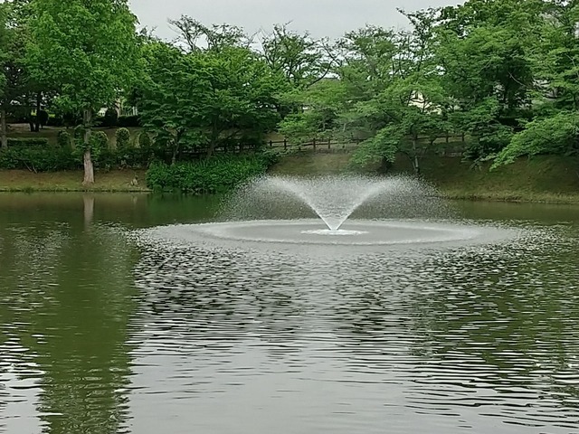 DSC_3284.JPG