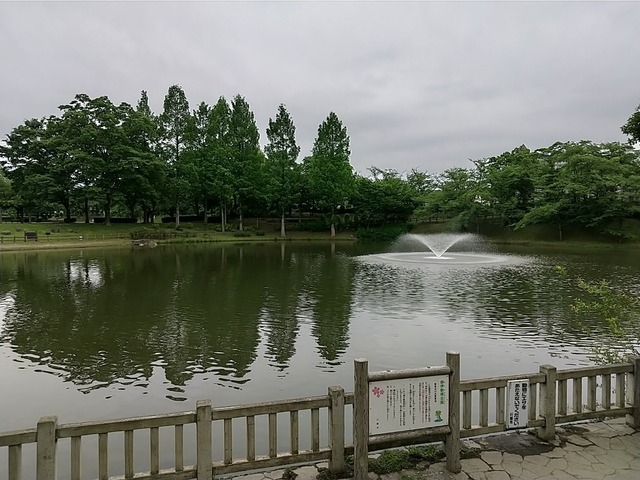 DSC_3285.JPG