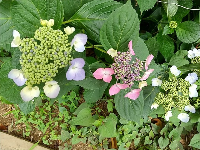 DSC_3324.JPG