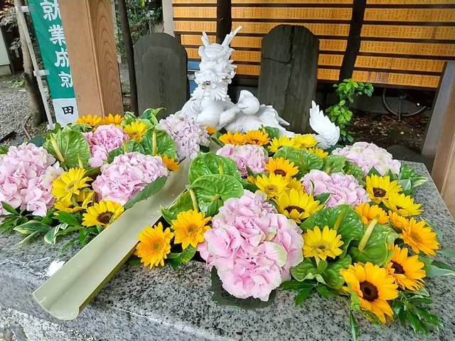 DSC_3333.JPG