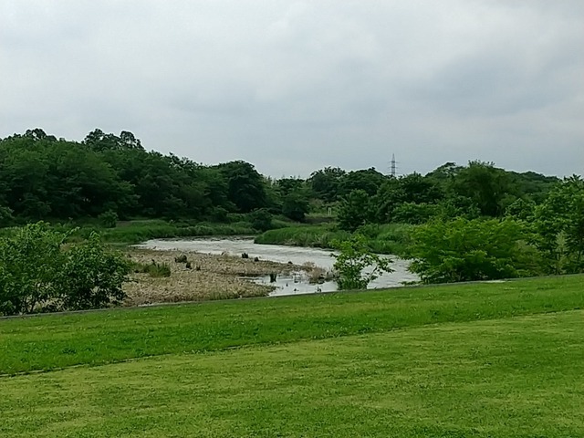 DSC_3352.JPG