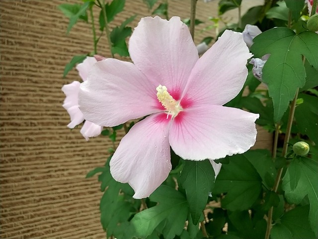 DSC_3457.JPG
