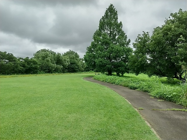 DSC_3471.JPG