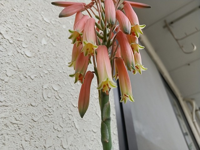 DSC_3474.JPG