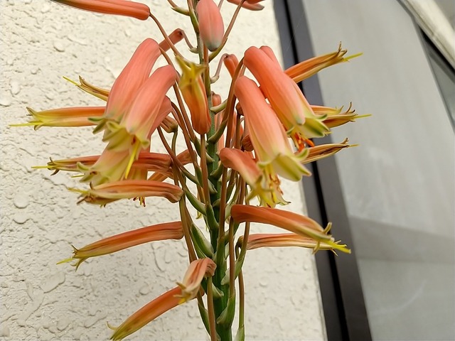 DSC_3477.JPG