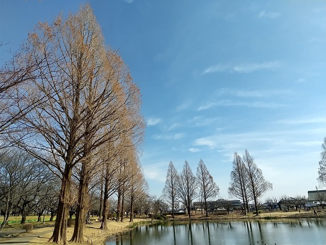 DSC_3649.JPG