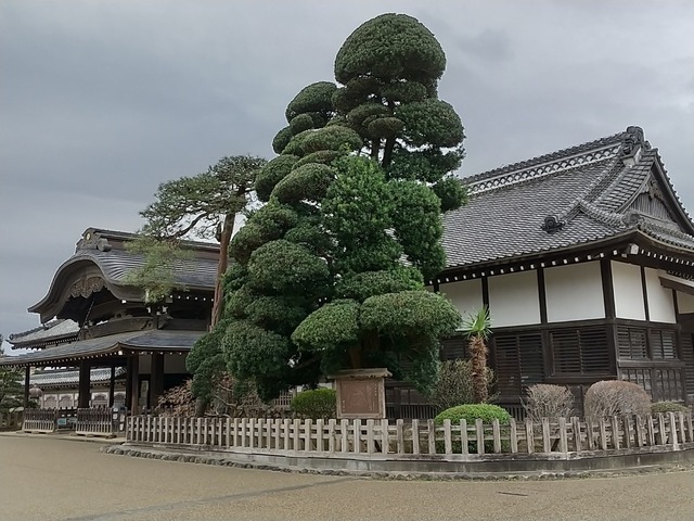 DSC_3665.JPG